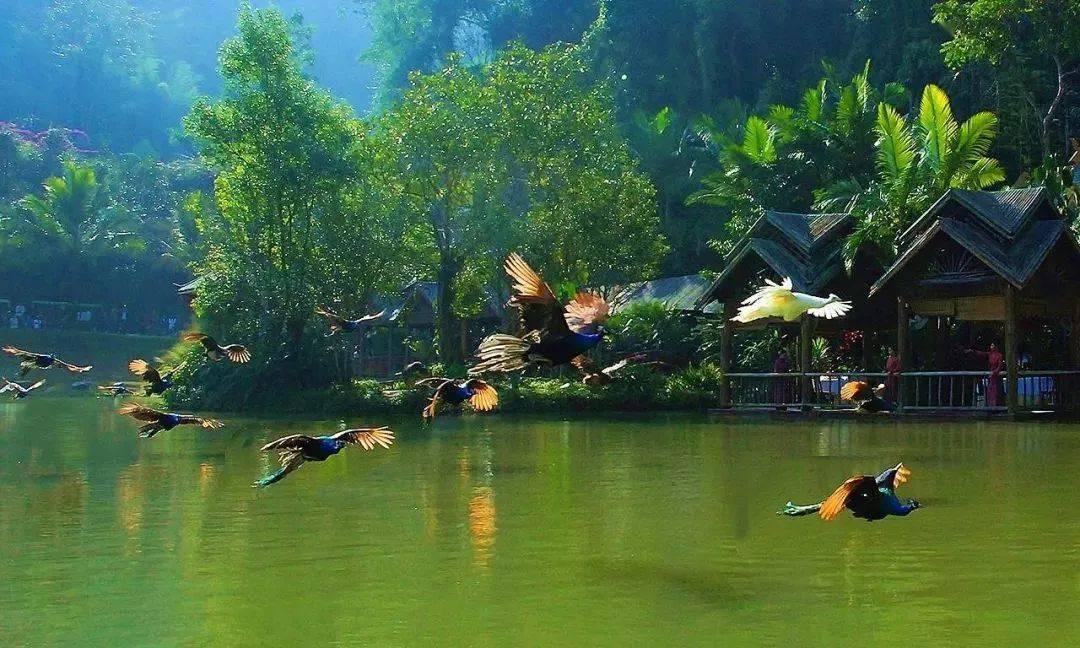 穴居人打高尔夫